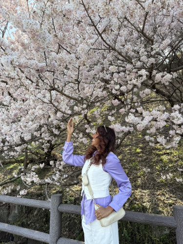 PURPLE PLUS JAPÃO