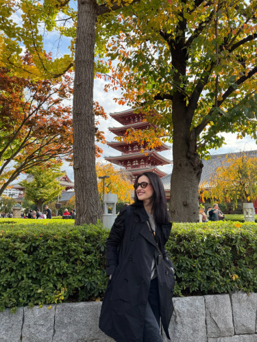 PURPLE PLUS JAPÃO