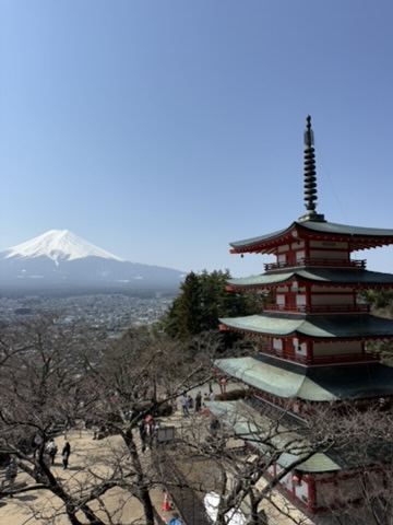 Pacote #18 · Japão